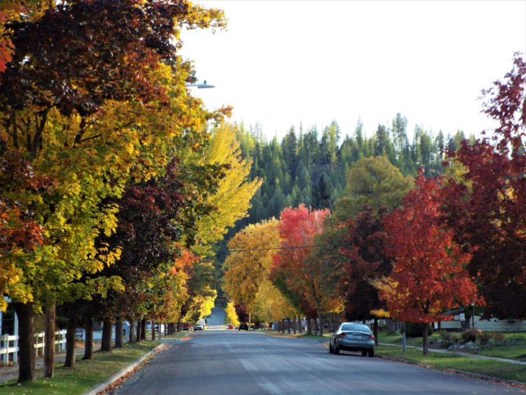 Fall Colors In Libby MT